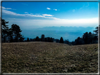 foto Salita dal Monte Tomba a Cima Grappa